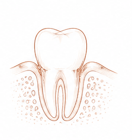 tratamiento de encías — Centre Dental Basté