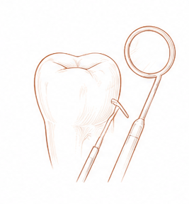 Odontología — Centre Dental Basté